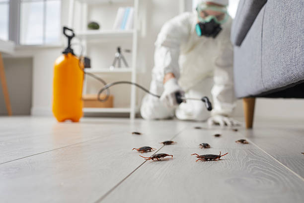 Post-Treatment Bed Bug Interceptor Monitoring in Covington