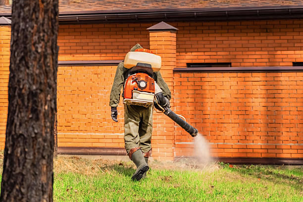 Bed Bug Clearance Verification and Documentation in Covington
